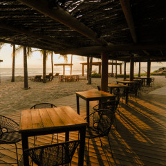 Отель Las Palmas Resort & Beach Club питание фото 3