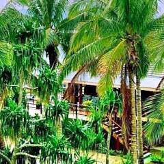 Отель Club Fiji Resort Фиджи, Вити-Леву - отзывы, цены и фото номеров - забронировать отель Club Fiji Resort онлайн фото 7