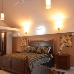 Отель Safira River Front Resort Индия, Морджим - отзывы, цены и фото номеров - забронировать отель Safira River Front Resort онлайн комната для гостей фото 2