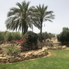 Отель Mediterranea Мальта, Марсаскала - отзывы, цены и фото номеров - забронировать отель Mediterranea онлайн фото 2
