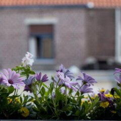 Отель Holidayhome Bruges @ Home фото 2