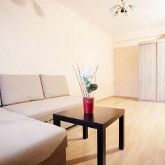 Гостиница Funny Dolphins Apartments Goncharny в Москве отзывы, цены и фото номеров - забронировать гостиницу Funny Dolphins Apartments Goncharny онлайн Москва комната для гостей фото 3
