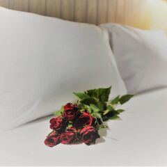 Le Anda Boutique Hotel комната для гостей фото 2