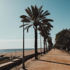 Отель El Petit Palauet пляж