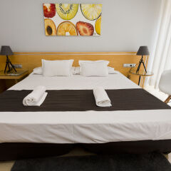 Отель Jardin Botanico Hotel Boutique Испания, Валенсия - отзывы, цены и фото номеров - забронировать отель Jardin Botanico Hotel Boutique онлайн в номере