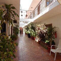 Отель Cabo Cush Мексика, Кабо-Сан-Лукас - отзывы, цены и фото номеров - забронировать отель Cabo Cush онлайн помещение для мероприятий