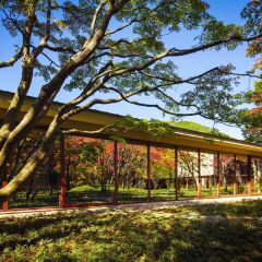 Отель Hoshino Resorts KAI Kinugawa Никко помещение для мероприятий