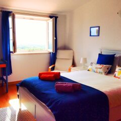 Freesurf Camp & Hostel детские мероприятия