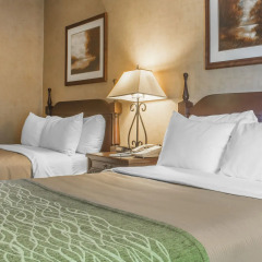 Comfort Inn Sarnia In Sarnia Canada From None Photos Reviews