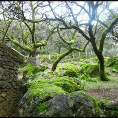 Отель Finca La Viriñuela Фуэнтес-де-Леон фото 18