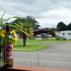 Отель Whanganui River Top 10 Holiday Park с домашними животными