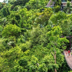 Отель InterContinental Samui Baan Taling Ngam Resort