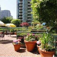 Отель Rosedale On Robson Suite Hotel Канада, Ванкувер - отзывы, цены и фото номеров - забронировать отель Rosedale On Robson Suite Hotel онлайн фото 14