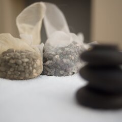 Hotel Antinea Suites & SPA с домашними животными