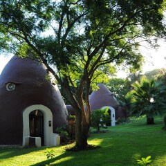 Отель Stellenhof Farmstay B&B фото 4