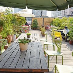 Chengdu Flipflop Hostel с домашними животными