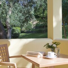 Отель Апарт-Отель Govino Bay Греция, Корфу - 1 отзыв об отеле, цены и фото номеров - забронировать отель Апарт-Отель Govino Bay онлайн балкон