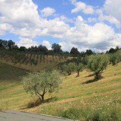 Отель Agriturismo Le Buche di Viesca Реггелло фото 5