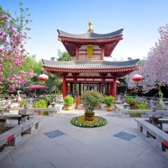 Отель Tang Dynasty Art Garden Китай, Сиань - отзывы, цены и фото номеров - забронировать отель Tang Dynasty Art Garden онлайн фото 4