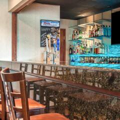 Clarion Hotel Buffalo Airport гостиничный бар