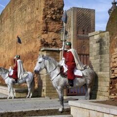 Отель Le Diwan Rabat - MGallery by Sofitel Марокко, Рабат - отзывы, цены и фото номеров - забронировать отель Le Diwan Rabat - MGallery by Sofitel онлайн спортивное сооружение