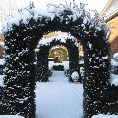 Отель Begijnhof Congres Hotel Бельгия, Лёвен - отзывы, цены и фото номеров - забронировать отель Begijnhof Congres Hotel онлайн фото 6