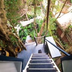 Отель Dao Anh Khanh Treehouse Ханой фитнесс-зал