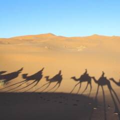 Отель Galaxy Desert Camp Merzouga Марокко, Мерзуга - отзывы, цены и фото номеров - забронировать отель Galaxy Desert Camp Merzouga онлайн фото 2