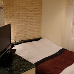 Hotel Linden Yushima удобства в номере фото 2