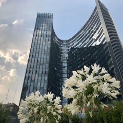 Отель Plaza Suites Mexico City Hotel Мексика, Мехико - отзывы, цены и фото номеров - забронировать отель Plaza Suites Mexico City Hotel онлайн фото 2