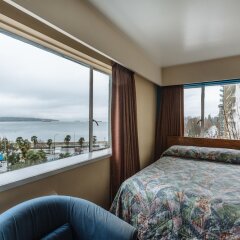 Отель English Bay Hotel Канада, Ванкувер - отзывы, цены и фото номеров - забронировать отель English Bay Hotel онлайн фото 8
