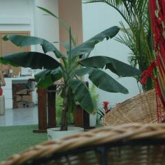 Отель Lisbon Destination Hostel Португалия, Лиссабон - отзывы, цены и фото номеров - забронировать отель Lisbon Destination Hostel онлайн бассейн