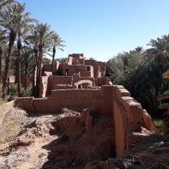 Отель Riad Tagmadart Ferme D'hôte Марокко, Загора - отзывы, цены и фото номеров - забронировать отель Riad Tagmadart Ferme D'hôte онлайн фото 22