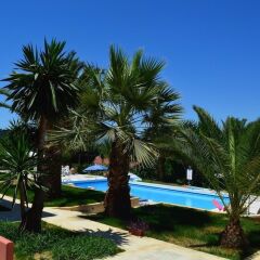 Отель The Palm Garden Греция, Корфу - отзывы, цены и фото номеров - забронировать отель The Palm Garden онлайн бассейн