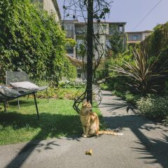Отель Rosa Et Al Townhouse Португалия, Порту - отзывы, цены и фото номеров - забронировать отель Rosa Et Al Townhouse онлайн фото 5