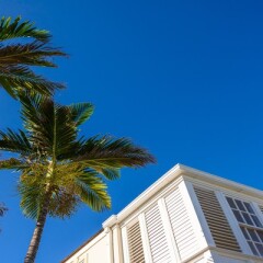 Отель Meliá Braco Village, Jamaica - All Inclusive бассейн фото 2