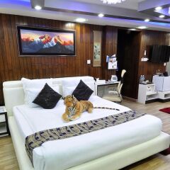 Отель Royal Penguin Boutique Hotel Непал, Катманду - отзывы, цены и фото номеров - забронировать отель Royal Penguin Boutique Hotel онлайн фото 4