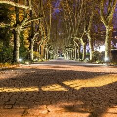 The Wine House Hotel - Quinta Da Pacheca Ламего фото 11
