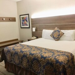 Отель Charter Inn and Suites комната для гостей фото 5