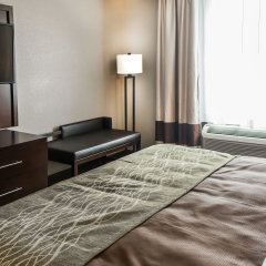 Comfort Inn & Suites in Pharr, United States of America from 86$, photos, reviews - zenhotels.com guestroom photo 5