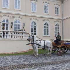 Отель La Contessa Castle Hotel Венгрия, Силвашварад - отзывы, цены и фото номеров - забронировать отель La Contessa Castle Hotel онлайн фото 2