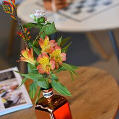 Отель ibis Brussels Erasmus Бельгия, Брюссель - отзывы, цены и фото номеров - забронировать отель ibis Brussels Erasmus онлайн в номере