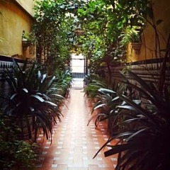 Отель Hostal Atenas фото 15