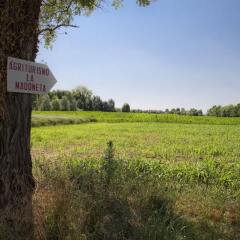 Отель Agriturismo La Madoneta Сан-Джорджо-ин-Боско фото 4