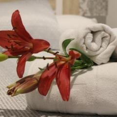 Отель Hostal San Isidro Мадрид в номере