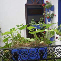 Отель Mi Casa en Córdoba фото 7