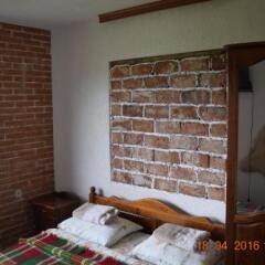 Отель Guest House Alexandrova Болгария, Ардино - отзывы, цены и фото номеров - забронировать отель Guest House Alexandrova онлайн комната для гостей фото 4