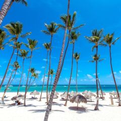 Отель Ducassi Suites Rooftop Pool Beach Club & Spa пляж фото 2