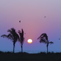 Отель The Leela Goa Индия, Гоа - 8 отзывов об отеле, цены и фото номеров - забронировать отель The Leela Goa онлайн балкон