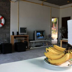Monkey Samui Hostel Самуи детские мероприятия фото 2